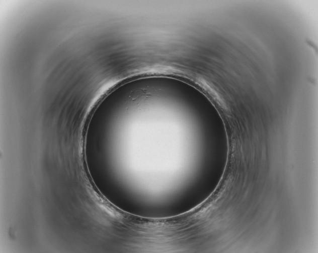 X0000095901232200801251217