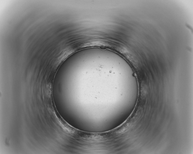 X0000095901233200801251217