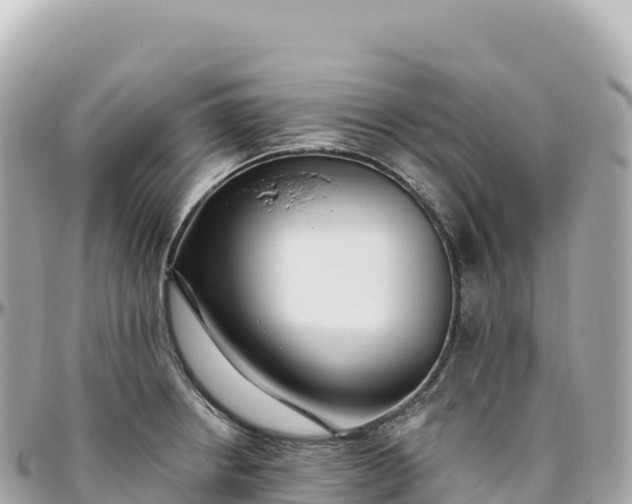 X0000095901234200801251217