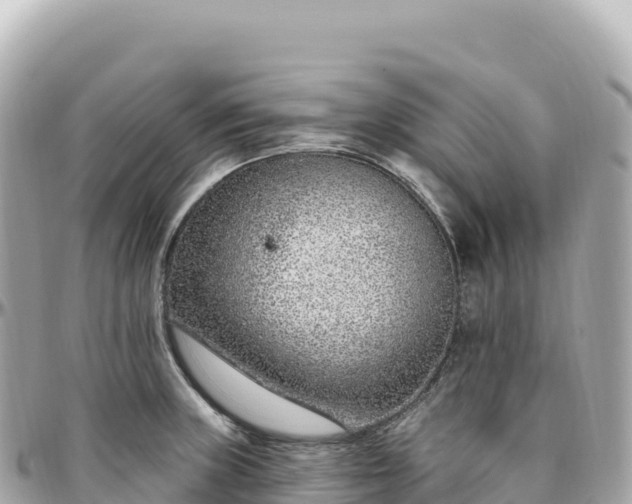 X0000095901235200801251217