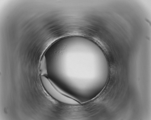 X0000095901236200801251217