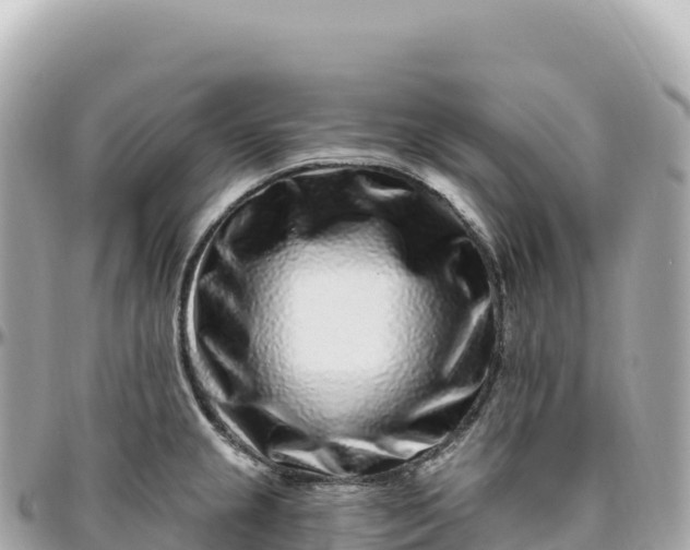 X0000095901237200801251217