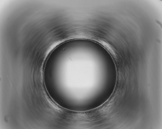 X0000095901238200801251217