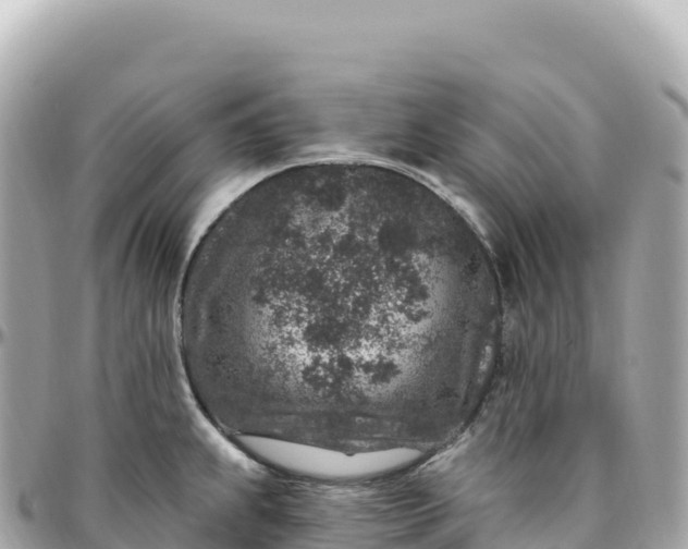 X0000095901239200801251217