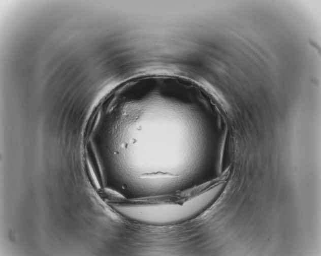 X0000095901240200801251217