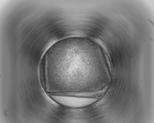 X0000095901243200801251217