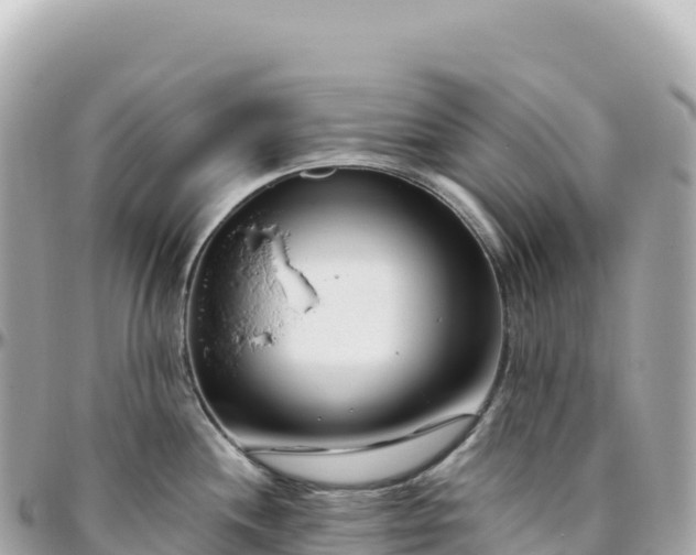 X0000095901244200801251217