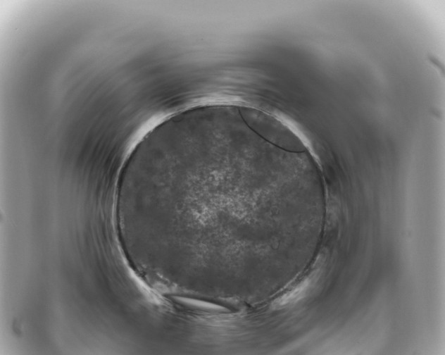 X0000095901245200801251217