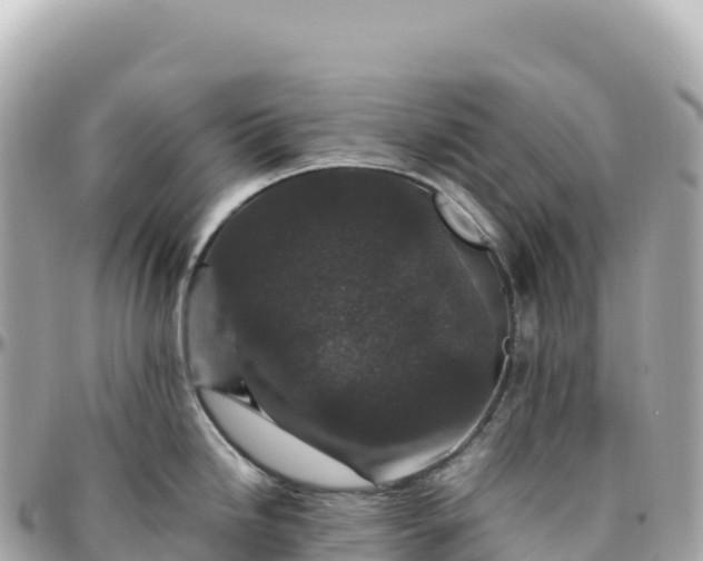 X0000095901246200801251217