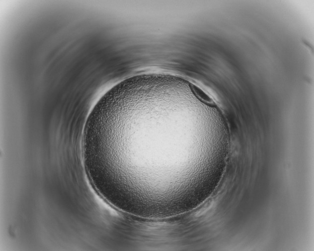 X0000095901247200801251217