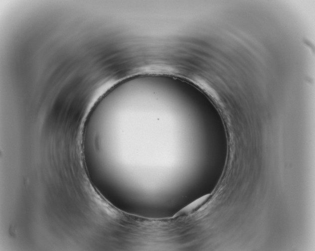 X0000095901248200801251217