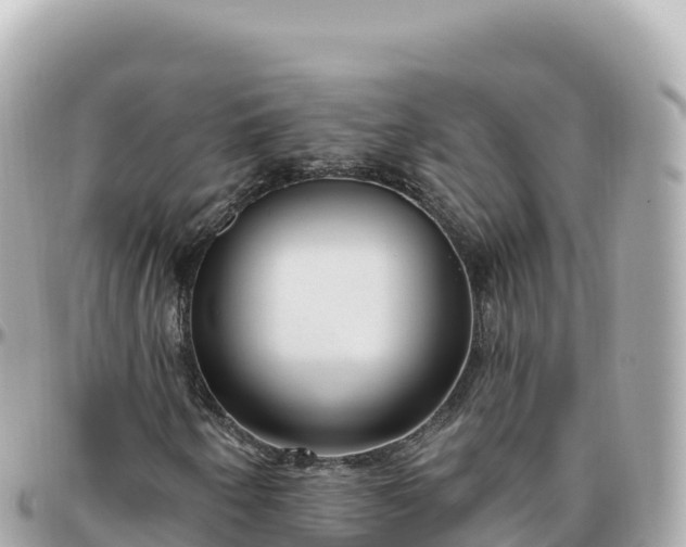 X0000095901250200801251217