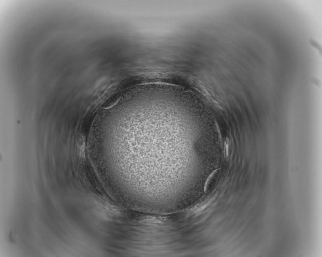 X0000095901251200801251217