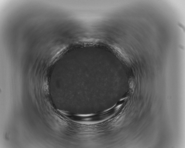 X0000095901252200801251217