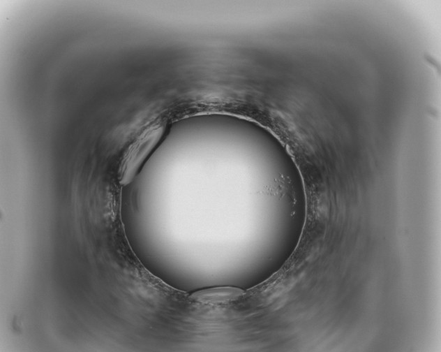 X0000095901253200801251217