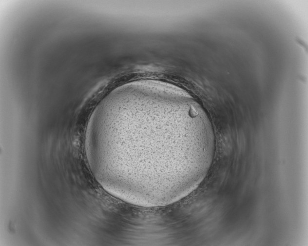 X0000095901254200801251217