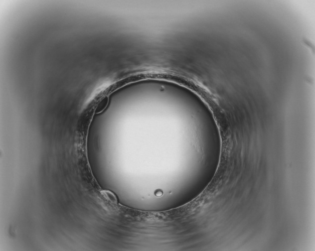 X0000095901255200801251217