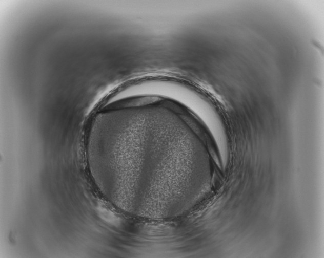 X0000095901256200801251217