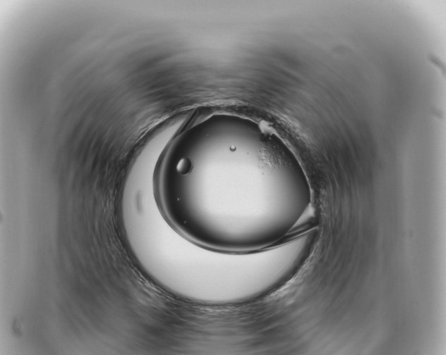 X0000095901257200801251217