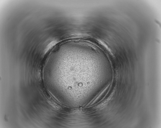 X0000095901259200801251217