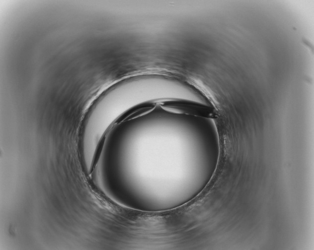 X0000095901260200801251216