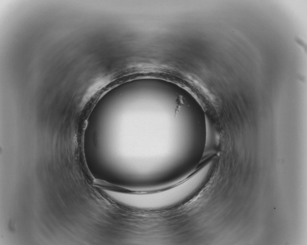 X0000095901261200801251216