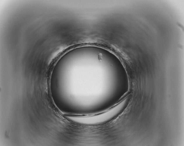 X0000095901262200801251216