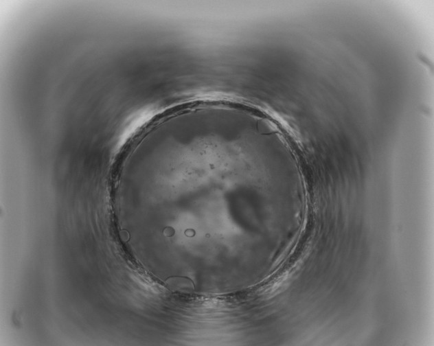 X0000095901263200801251216