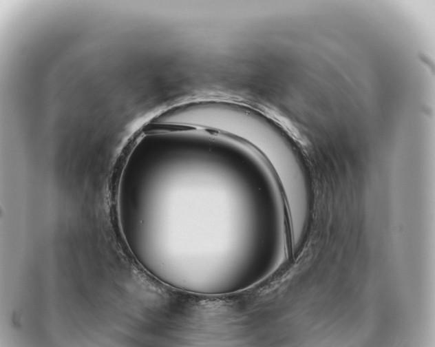 X0000095901264200801251216