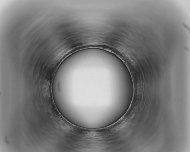 X0000095901265200801251216