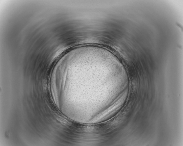 X0000095901266200801251216