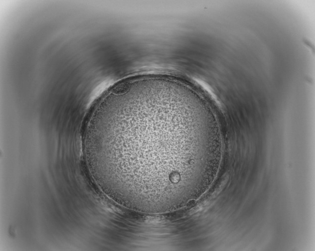 X0000095901267200801251216