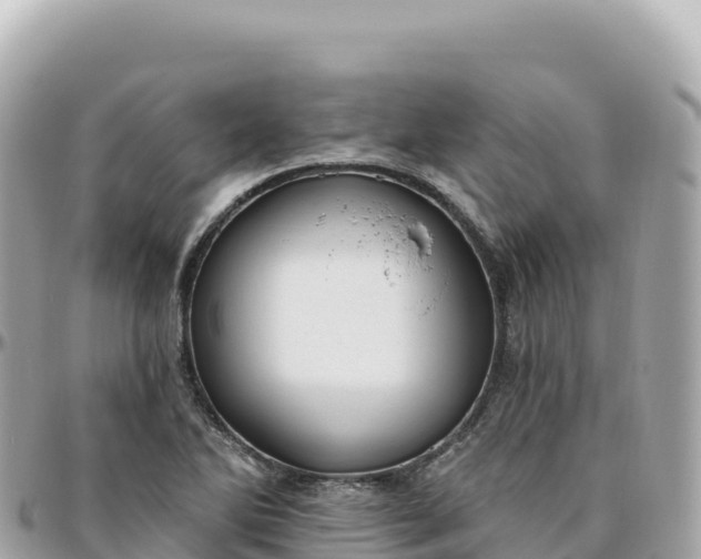 X0000095901270200801251216