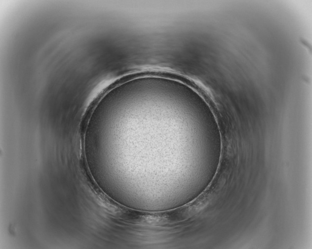 X0000095901271200801251216