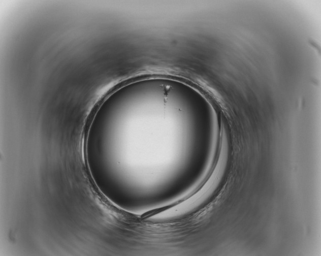 X0000095901272200801251216