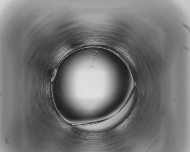 X0000095901273200801251216