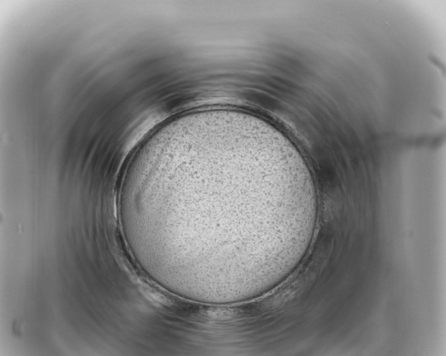 X0000095901274200801251216