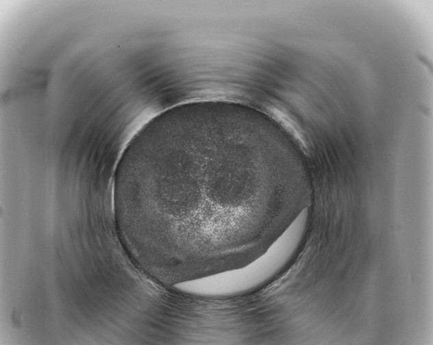 X0000095901275200801251216