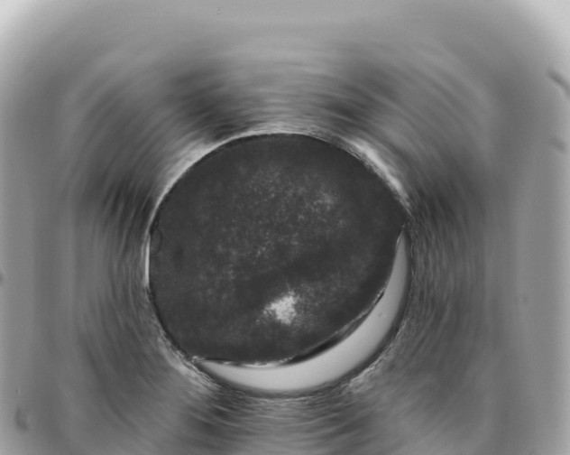 X0000095901276200801251216