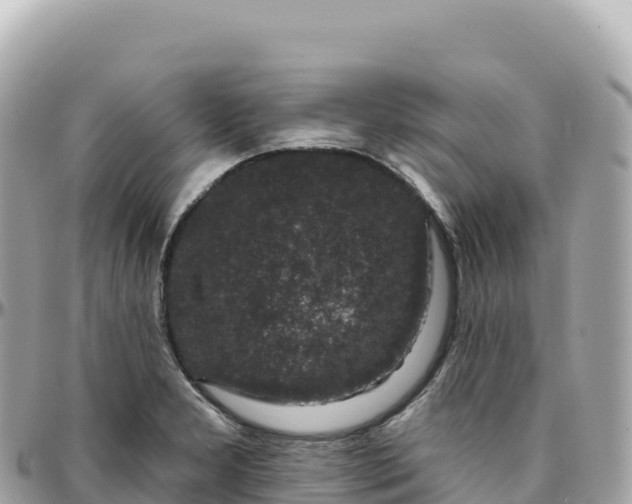 X0000095901277200801251216