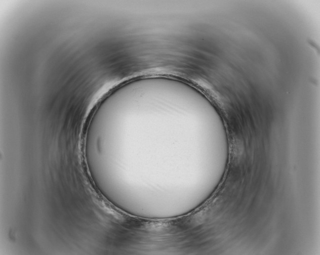 X0000095901278200801251216