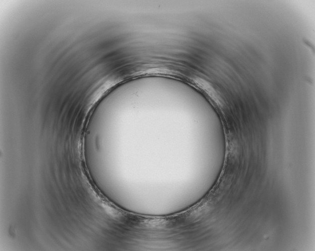 X0000095901282200801251216