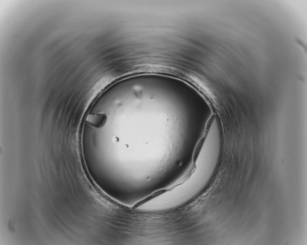 X0000095901283200801251216