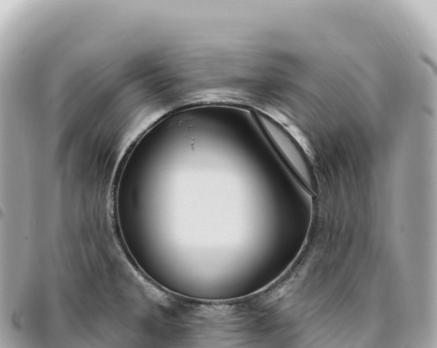 X0000095901285200801251216