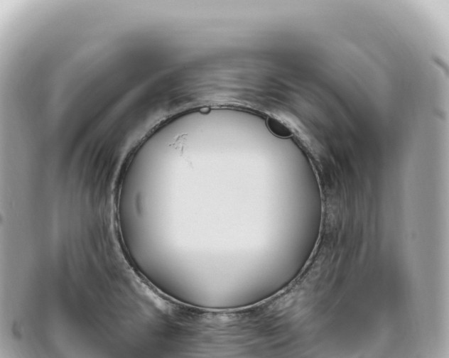 X0000095901286200801251216