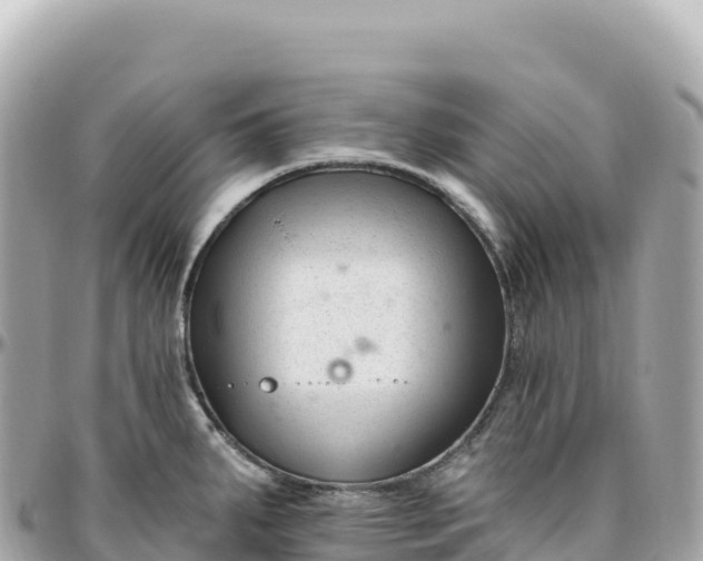 X0000095901287200801251216