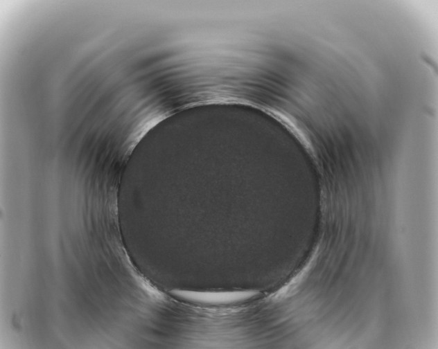 X0000095901289200801251216