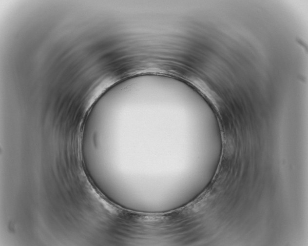 X0000095901290200801251216