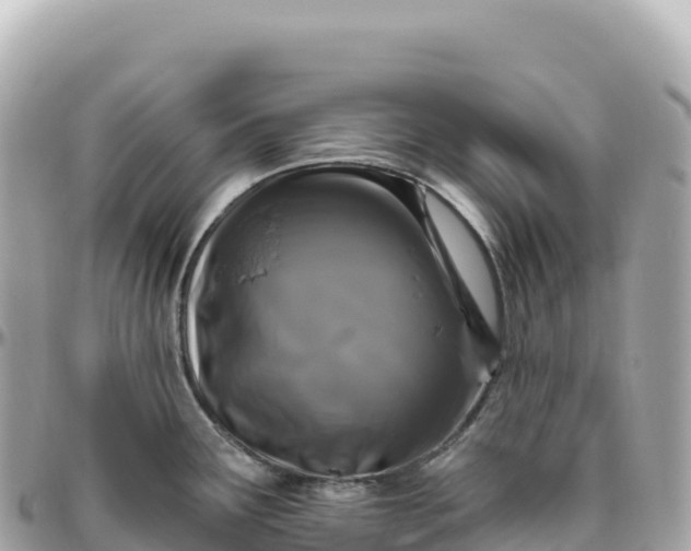 X0000095901291200801251216