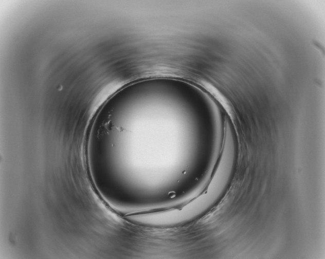 X0000095901293200801251216